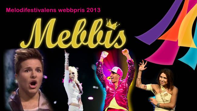 mebbis_2013
